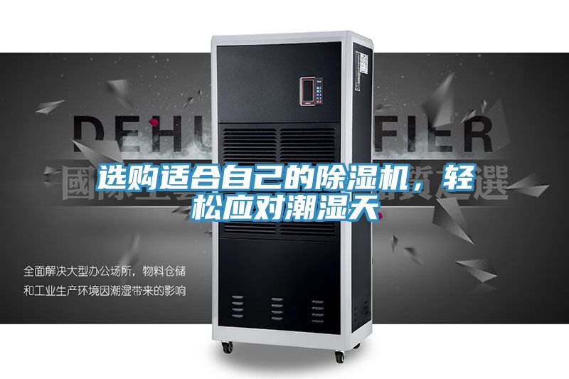 選購適合自己的好色先生在线播放，輕鬆應對潮濕天