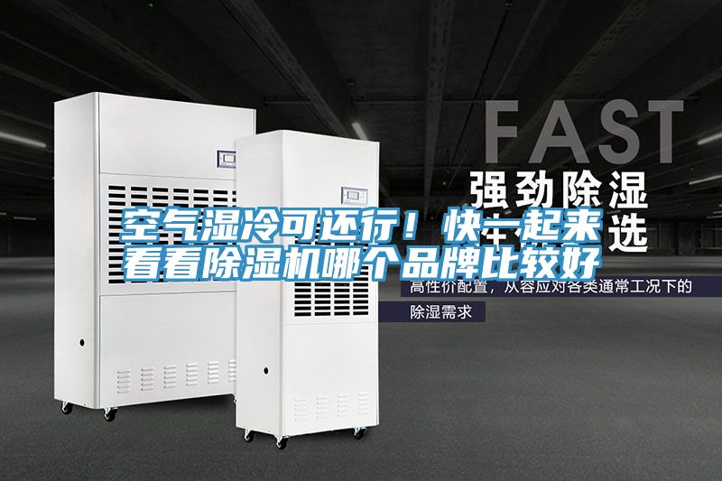 空氣濕冷可還行！快一起來看看好色先生在线播放哪個品牌比較好