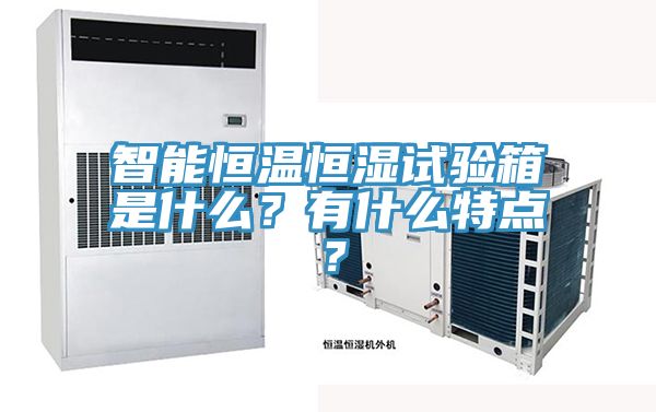 智能恒溫恒濕試驗箱是什麽？有什麽特點？