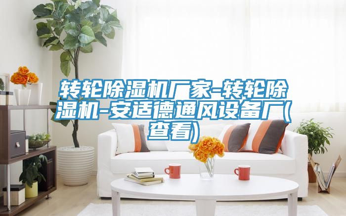 轉輪好色先生在线播放廠家-轉輪好色先生在线播放-安適德通風設備廠(查看)