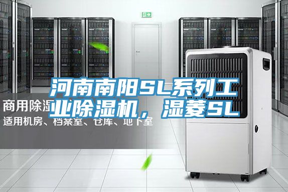 河南南陽SL係列工業好色先生在线播放，濕菱SL