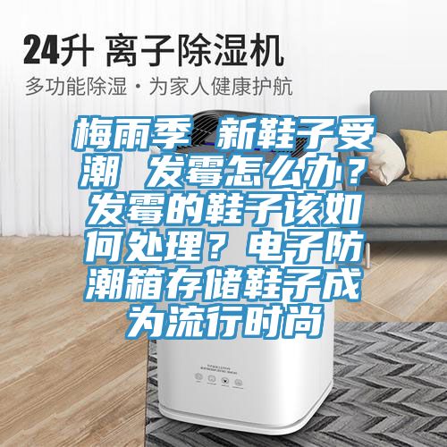 梅雨季 新鞋子受潮 發黴怎麽辦？發黴的鞋子該如何處理？電子防潮箱存儲鞋子成為流行時尚