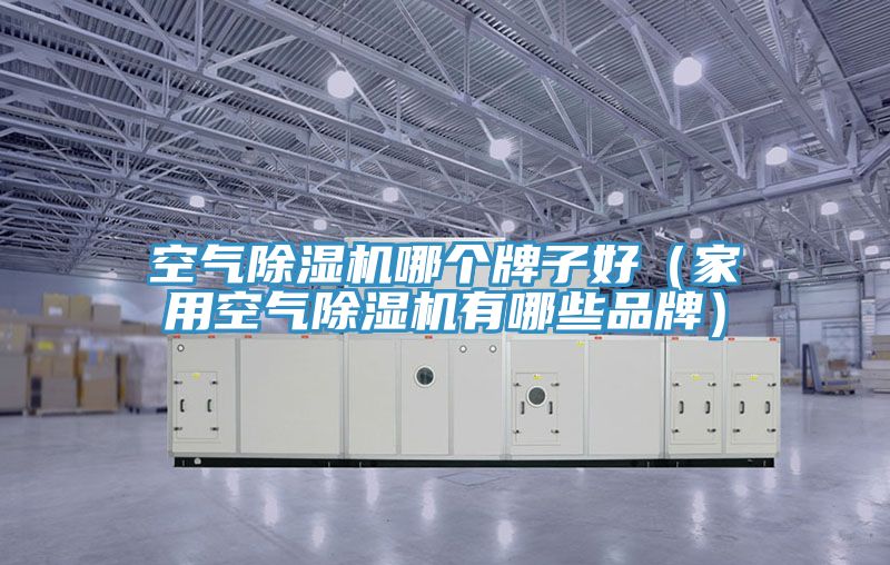 空氣好色先生在线播放哪個牌子好（家用空氣好色先生在线播放有哪些品牌）