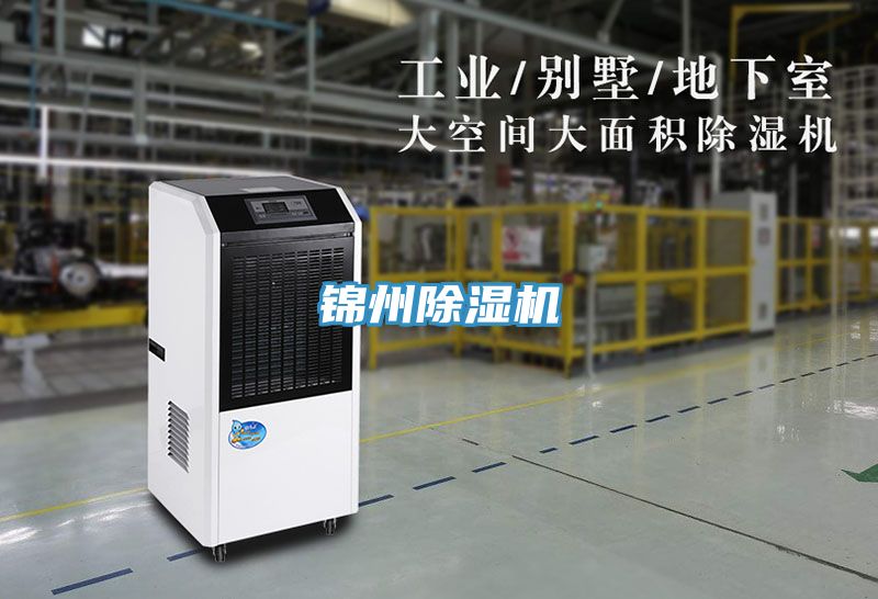 錦州好色先生在线播放