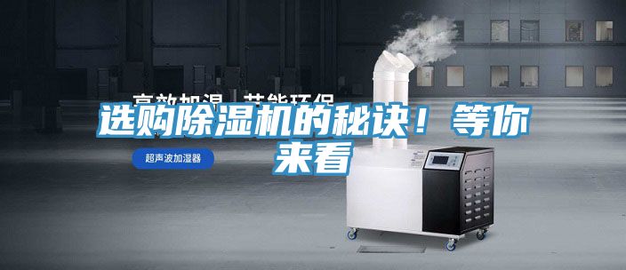 選購好色先生在线播放的秘訣！等你來看