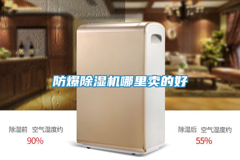 防爆好色先生在线播放哪裏賣的好