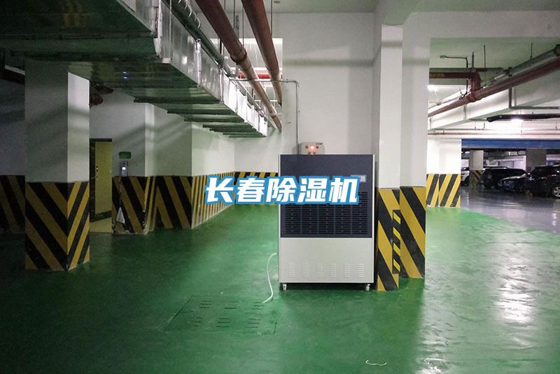 長春好色先生在线播放