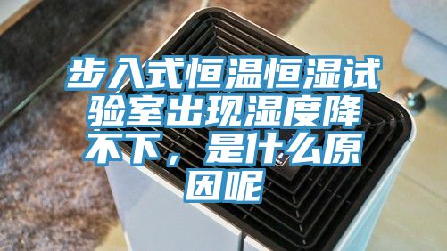 步入式恒溫恒濕試驗室出現濕度降不下，是什麽原因呢