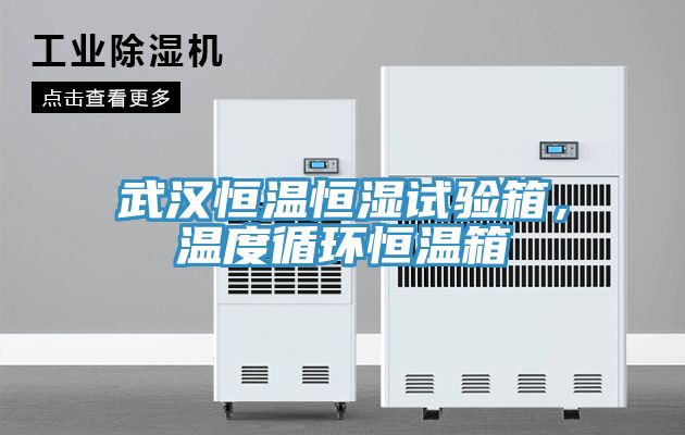 武漢恒溫恒濕試驗箱，溫度循環恒溫箱