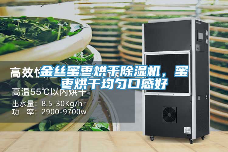 金絲蜜棗烘幹好色先生在线播放，蜜棗烘幹均勻口感好