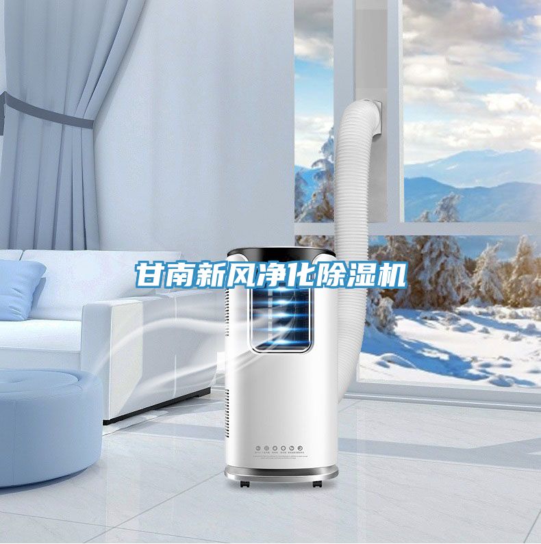 甘南新風淨化好色先生在线播放