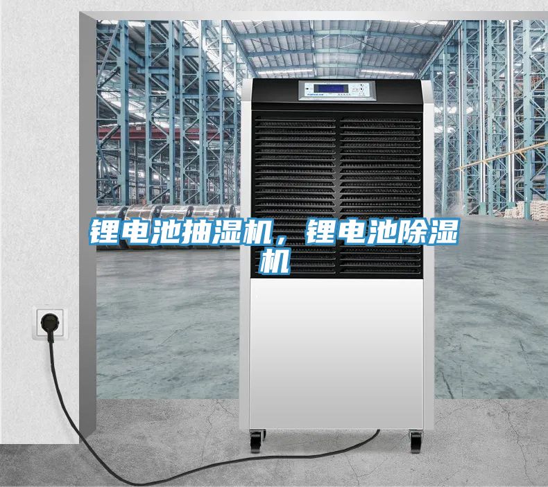 鋰電池抽濕機，鋰電池好色先生在线播放