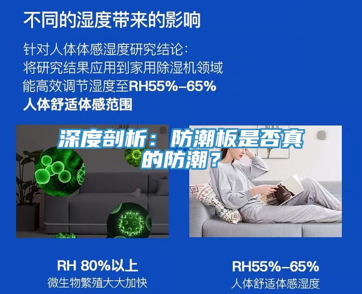 深度剖析：防潮板是否真的防潮？