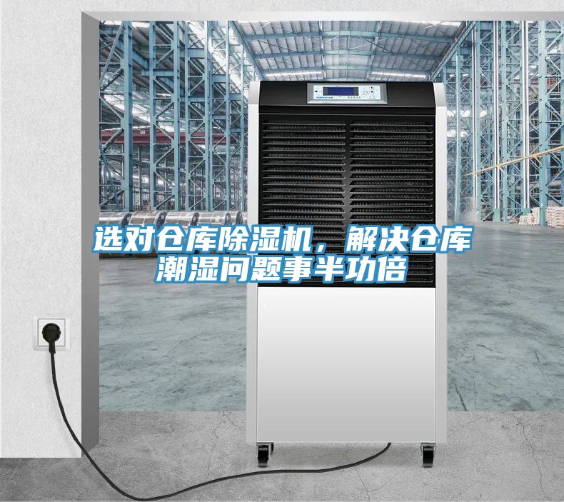 選對倉庫好色先生在线播放，解決倉庫潮濕問題事半功倍