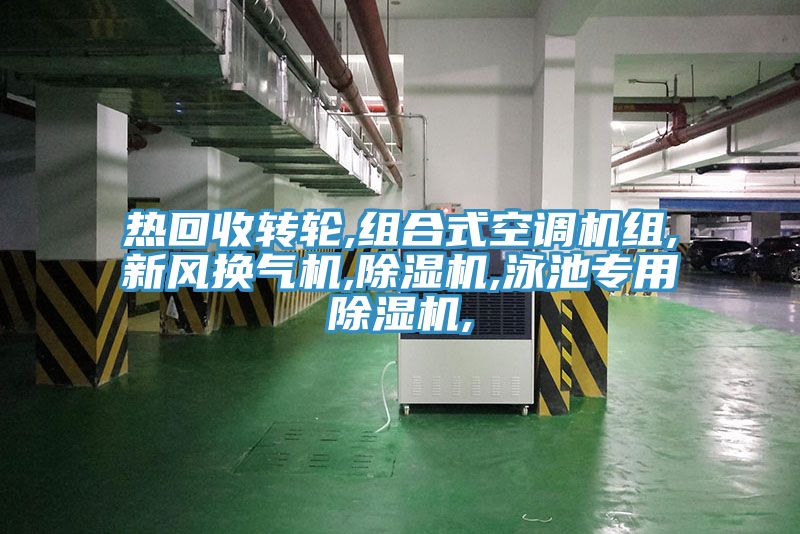 熱回收轉輪,組合式空調機組,新風換氣機,好色先生在线播放,泳池專用好色先生在线播放,