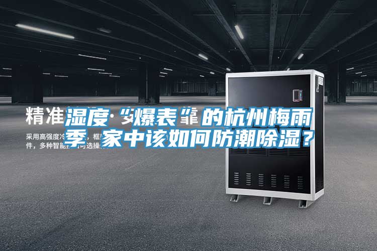 濕度“爆表”的杭州梅雨季 家中該如何防潮除濕？
