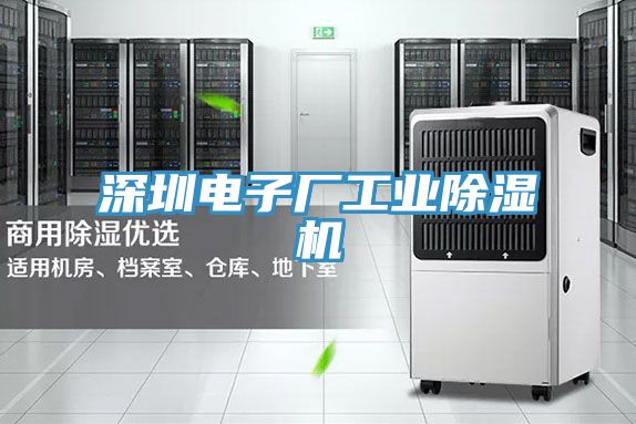 深圳電子廠工業好色先生在线播放