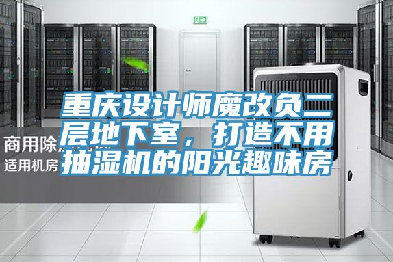 重慶設計師魔改負二層地下室，打造不用抽濕機的陽光趣味房