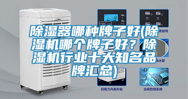 除濕器哪種牌子好(好色先生在线播放哪個牌子好?好色先生在线播放行業十大知名品牌匯總)
