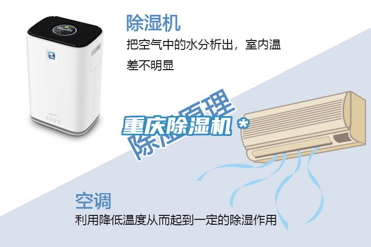 重慶好色先生在线播放＊