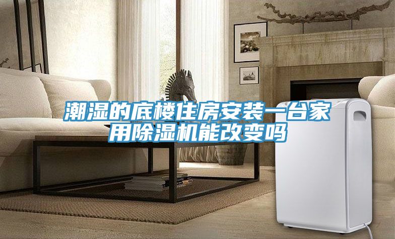 潮濕的底樓住房安裝一台家用好色先生在线播放能改變嗎