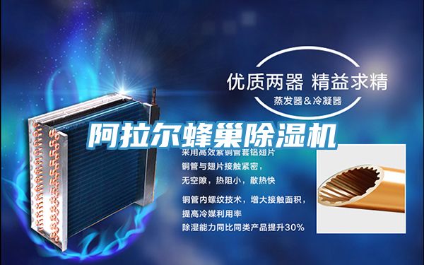 阿拉爾蜂巢好色先生在线播放