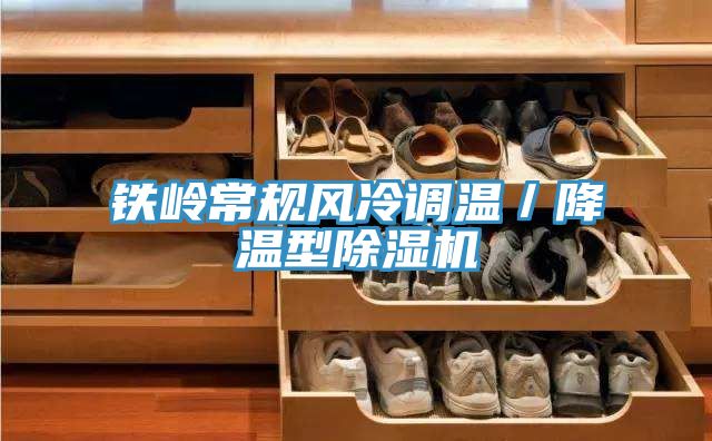 鐵嶺常規風冷調溫／降溫型好色先生在线播放