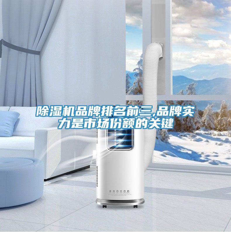 好色先生在线播放品牌排名前三,品牌實力是市場份額的關鍵