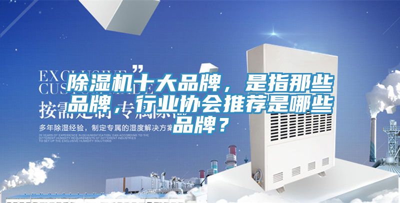 好色先生在线播放十大品牌，是指那些品牌，行業協會推薦是哪些品牌？