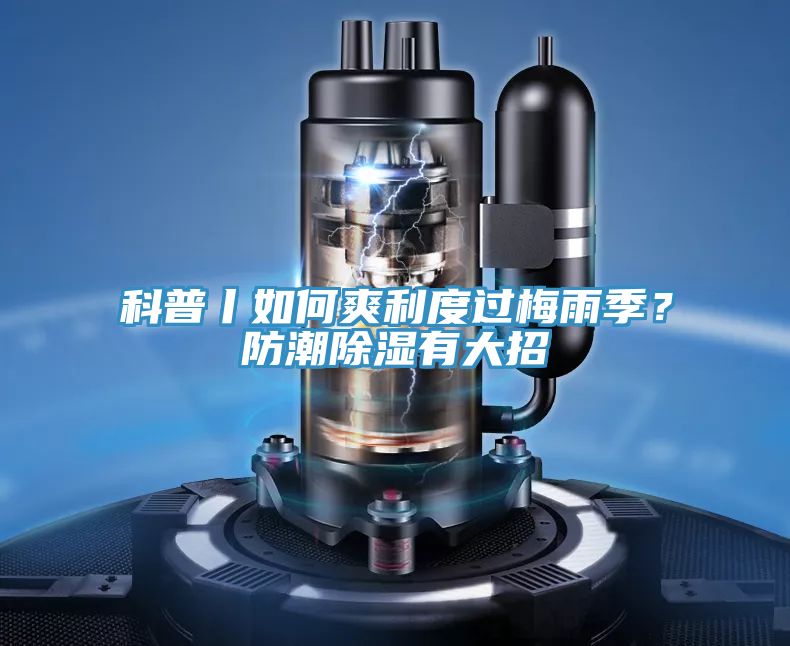 科普丨如何爽利度過梅雨季？防潮除濕有大招