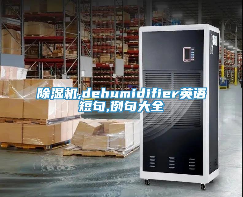 好色先生在线播放,dehumidifier英語短句,例句大全