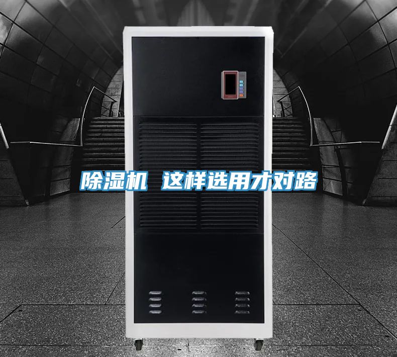 好色先生在线播放 這樣選用才對路