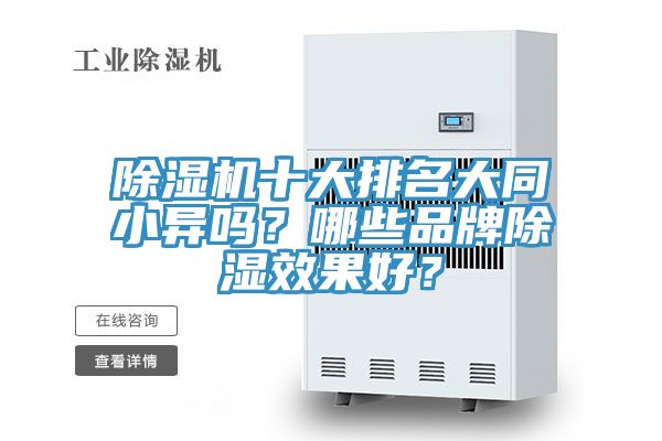 好色先生在线播放十大排名大同小異嗎？哪些品牌除濕效果好？