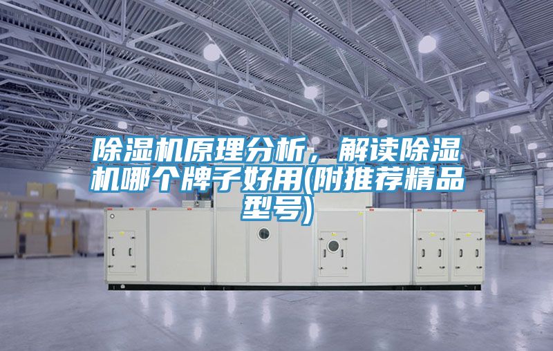 好色先生在线播放原理分析，解讀好色先生在线播放哪個牌子好用(附推薦精品型號)