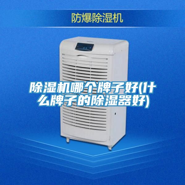 好色先生在线播放哪個牌子好(什麽牌子的除濕器好)