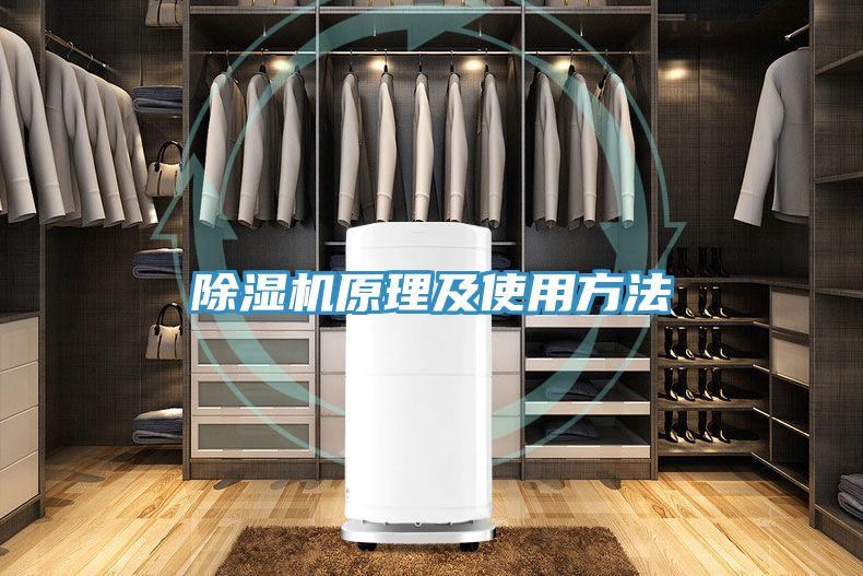 好色先生在线播放原理及使用方法