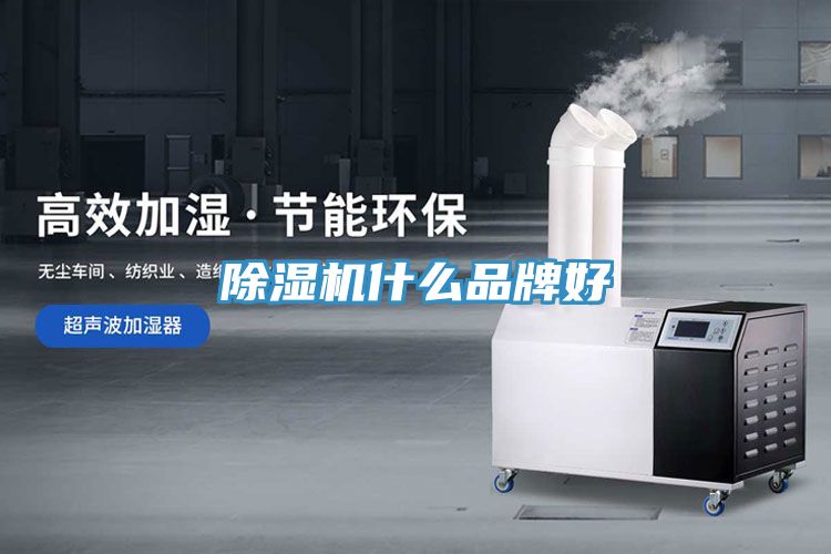 好色先生在线播放什麽品牌好