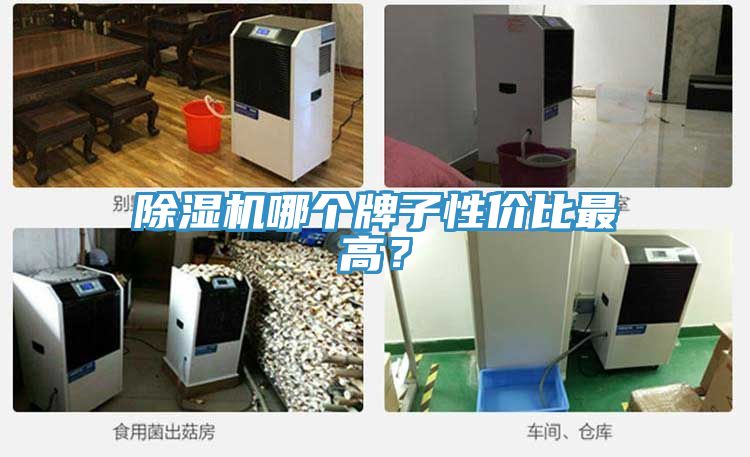 好色先生在线播放哪個牌子性價比最高？