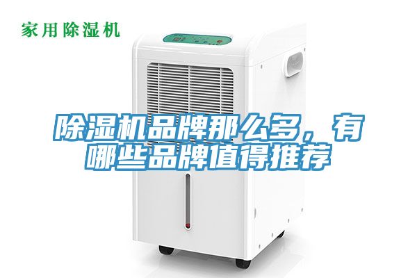 好色先生在线播放品牌那麽多，有哪些品牌值得推薦