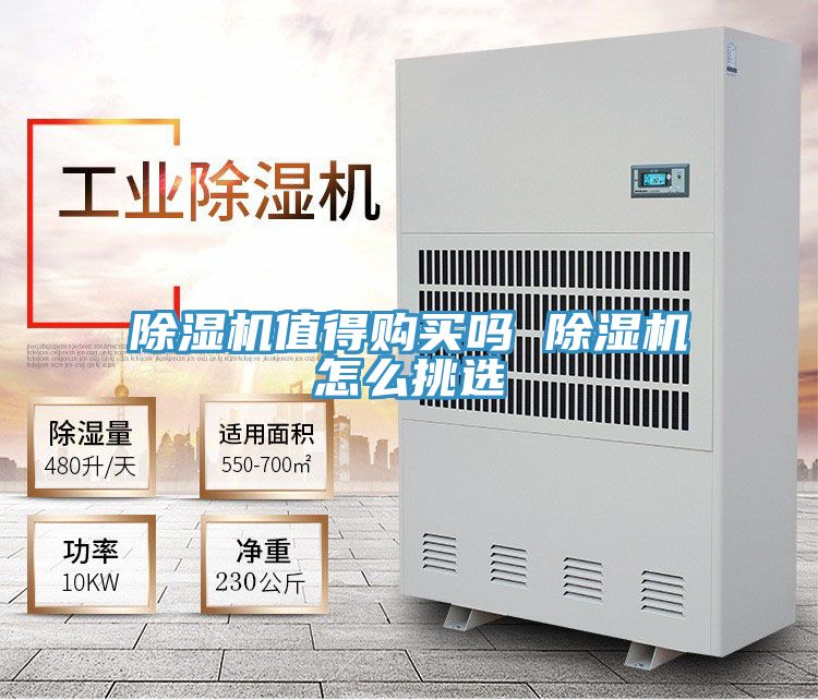 好色先生在线播放值得購買嗎 好色先生在线播放怎麽挑選