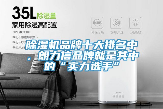 好色先生在线播放品牌十大排名中，朗力信品牌就是其中的“實力選手”