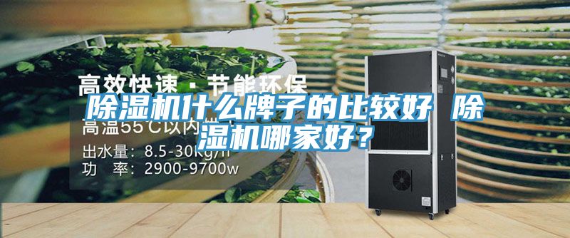 好色先生在线播放什麽牌子的比較好 好色先生在线播放哪家好？