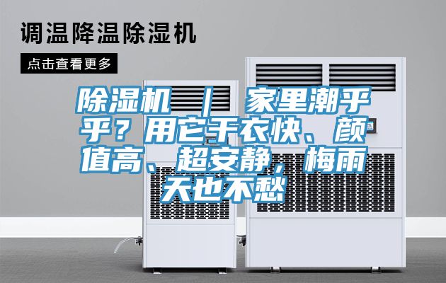 好色先生在线播放 | 家裏潮乎乎?用它幹衣快、顏值高、超安靜,梅雨天也不愁