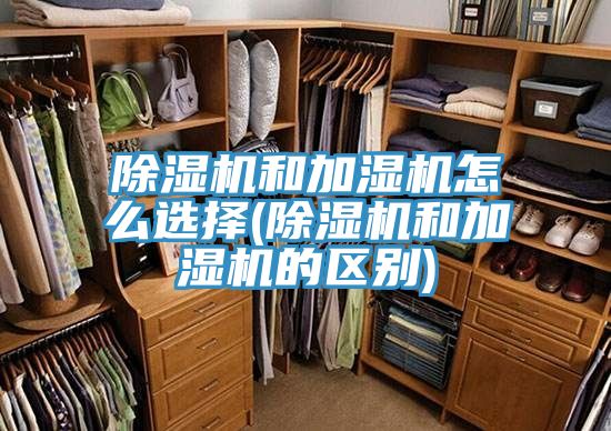 好色先生在线播放和加濕機怎麽選擇(好色先生在线播放和加濕機的區別)