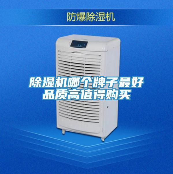 好色先生在线播放哪個牌子最好品質高值得購買