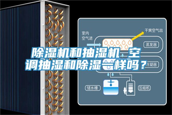 好色先生在线播放和抽濕機 空調抽濕和除濕一樣嗎？