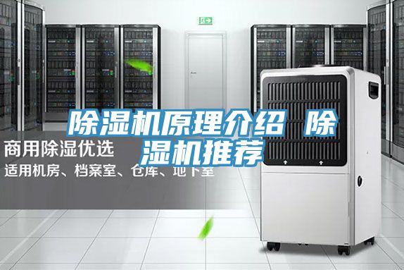 好色先生在线播放原理介紹 好色先生在线播放推薦