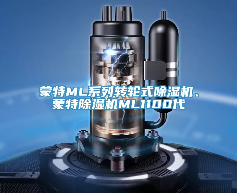 蒙特ML係列轉輪式好色先生在线播放、蒙特好色先生在线播放ML1100代