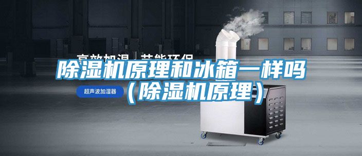 好色先生在线播放原理和冰箱一樣嗎（好色先生在线播放原理）