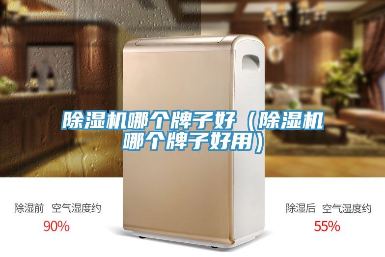 好色先生在线播放哪個牌子好（好色先生在线播放哪個牌子好用）